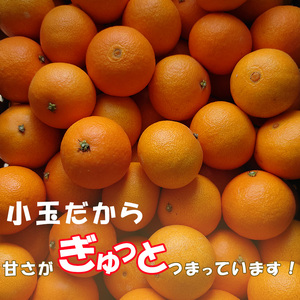 【2024年12月から発送】 中島みかん農園 愛果28号 小玉 2kg ｜みかん 蜜柑 不揃い 柑橘 果物 フルーツ あいか みかん 松山 愛媛【NM003】