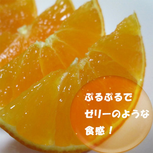 【紅まどんなと同品種】 愛果28号 小玉 5kg まどんな【NM0043】