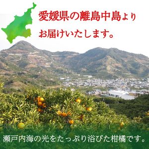 【2025年3月から発送】 せとか 約 5kg 上級 | 高級 みかん 蜜柑 愛媛 松山 柑橘 小玉 甘い おすすめ 中島商工会【あまや】【NS0061】