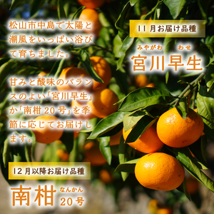 【2025年11月上旬から順次発送】温州みかん 5kg みかん 3月配送 柑橘 みかん 温州みかん 早生 わせ 南柑20号 みかん 数量限定 みかん 愛媛県産 みかん 松山市 みかん 中島 みかん 温州みかん みかん 蜜柑 温州みかん ミカン みかん 旬 温州みかん【NO0061】