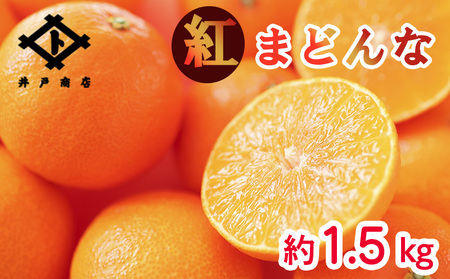 ★★★150箱限定★★★【11月下旬から発送】 紅まどんな ◯等級 Lから2L 約1.5kg | べにまどんな マドンナ 高級 柑橘 みかん 蜜柑 愛媛 松山 10000円 返礼品 甘い 大玉 みかん みかんランキング 【ID0011】