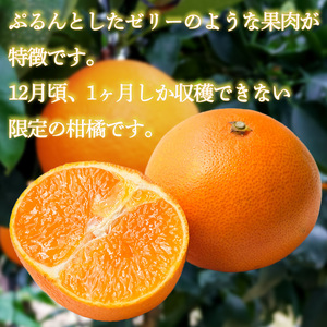 ★★★150箱限定★★★【11月下旬から発送】 紅まどんな ◯等級 Lから2L 約1.5kg | べにまどんな マドンナ 高級 柑橘 みかん 蜜柑 愛媛 松山 10000円 返礼品 甘い 大玉 みかん みかんランキング 【ID0011】