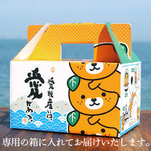 ★★★150箱限定★★★【11月下旬から発送】 紅まどんな ◯等級 Lから2L 約1.5kg | べにまどんな マドンナ 高級 柑橘 みかん 蜜柑 愛媛 松山 10000円 返礼品 甘い 大玉 みかん みかんランキング 【ID0011】