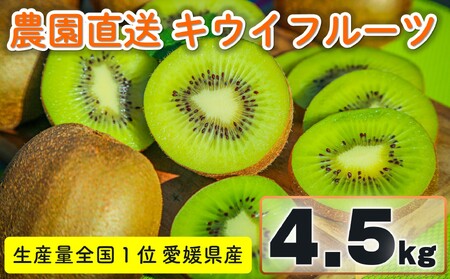 キウイ 4.5kg 愛媛県産 (30玉) 【2024年11月中旬～2024年12月上旬発送