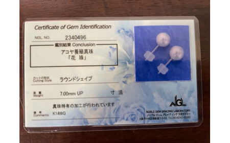 ふるさと納税 アクセサリー ピアス 愛媛県 松山市 K14ホワイトゴールドアコヤベビー花珠真珠ピアス （5mm） アクセサリー ピアス ジュエリー アクセサリー ジ… K14ホワイトゴールドアコヤベビー花珠真珠ピアス （5mm