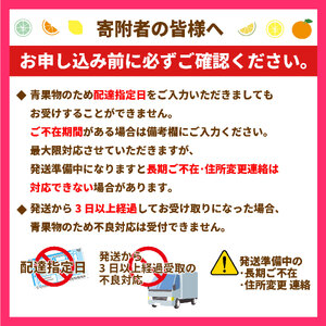 愛果28号 約 2.5kg 池本果樹園 あいか 愛果 みかん 柑橘 蜜柑 フルーツ 先行予約 松山市 愛媛県 数量限定 あいか 愛果 【 2024年 12月発送 2025年1月発送 】【OS0161】