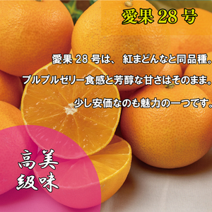 【12月中旬から発送】訳あり 家庭用 愛果28号 約2kg ( 訳あり あいか みかん 柑橘 松山 愛媛県 ) 人気おすすめ【VEG003】