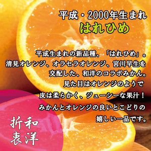 訳あり 家庭用 はれひめ S~3L玉 約2㎏ ( 訳あり はれひめ みかん 柑橘 松山 愛媛県 )【VEG0051】