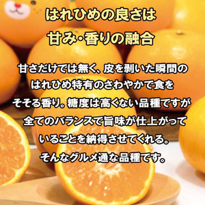 訳あり 家庭用 はれひめ S~3L玉 約2㎏ ( 訳あり はれひめ みかん 柑橘 松山 愛媛県 )【VEG0051】