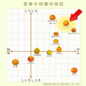 【2025年2月から発送】愛媛県産せとか（露地）約5kg 秀品 2L～M サイズ【高島屋選定品】 フルーツ 果物 みかん オレンジ 柑橘 せとか 愛媛県 松山市 【IYT054】