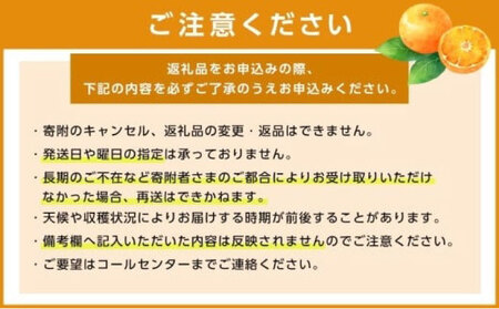 【2025年2月から発送】愛媛県産せとか（露地）約5kg 秀品 2L～M サイズ【高島屋選定品】 フルーツ 果物 みかん オレンジ 柑橘 せとか 愛媛県 松山市 【IYT054】