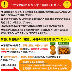 【2025年2月から発送】愛媛県産せとか（露地）約5kg 秀品 2L～M サイズ【高島屋選定品】 フルーツ 果物 みかん オレンジ 柑橘 せとか 愛媛県 松山市 【IYT054】