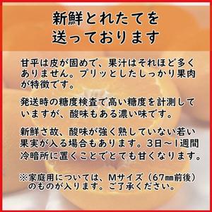 【甘平】 訳あり 甘平 約5㎏ みかん【VEG0083】
