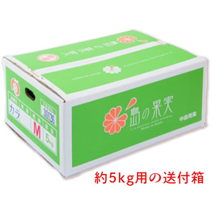 ★発送は4月中旬～★ カラマンダリン 5kg（MからLサイズ）【FA0412】