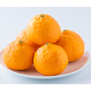 ★発送は4月中旬～★ カラマンダリン 2.5kg（MからLサイズ）【FA0902】