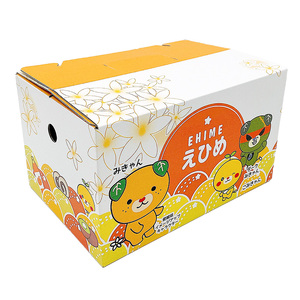 ★発送は4月中旬～★ カラマンダリン 2.5kg（MからLサイズ）【FA0902】