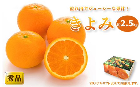 【2026年3月中旬頃から発送予定】きよみ ＜秀品＞ 約2.5kg (M-Lサイズ) ギフトBOX入り | みかん きよみ 秀品 清見 柑橘 贈答箱 愛媛県 松山市 ココオ Koko'o【KK3101】