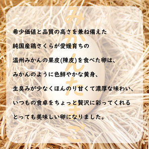  2種のたまご食べ比べセット 計40個(10個×4パック) ※割れ保証5個含む  【VEG017_1】たまご 玉子 たまご 鶏卵 たまご 生卵 たまご 生たまご