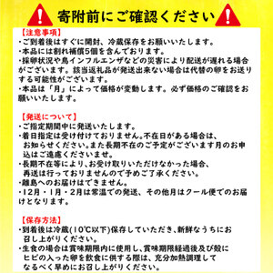  2種のたまご食べ比べセット 計40個(10個×4パック) ※割れ保証5個含む  【VEG017_1】たまご 玉子 たまご 鶏卵 たまご 生卵 たまご 生たまご