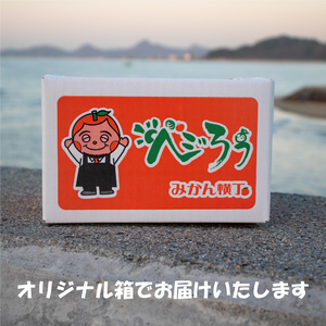 【でこぽんと同品種】 訳あり 不知火 約2kg  デコポン 2026年3月中旬頃より発送予定【VEG0231】