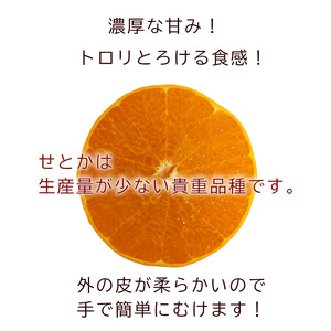 【2025年3月から発送】 せとか 小玉 5kg 中島みかん農園 ｜ 先行予約 みかん 蜜柑 柑橘 高級 小粒 わけあり 訳あり 甘い みかん 柑橘 愛媛 糖度 せとか 愛媛 松山【NM010】