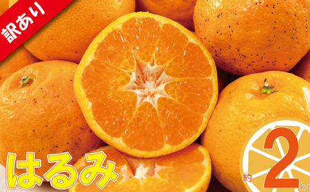 訳あり みかん 家庭用 はるみ 約2kg ( 訳あり みかん 訳あり柑橘 訳あり商品 はるみ みかん 柑橘 松山 愛媛県 )【VEG021】