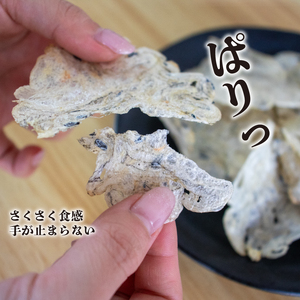 【せんべい 】うす焼きちりめん10g×4個ちりめんせんべい【HKY001】