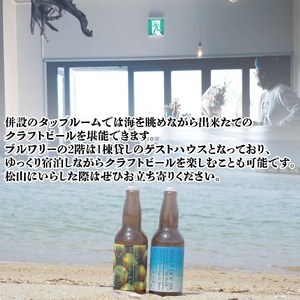 クラフトビール全2回定期便4本セットおまかせクラフトビール【HJB006】