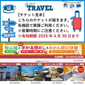 松山城と宇和島鯛めし&みかん蛇口体験 チケット 3000円分 温泉 旅行 トラベル チケット 観光 人気 おすすめ【KBT001】