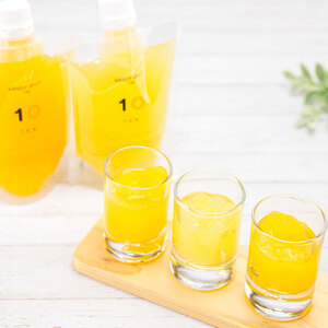 【7個7種類】愛媛みかんゼリー ギフトセット 10 FACTORY | みかんゼリー みかんゼリー みかんゼリー【FCT016】