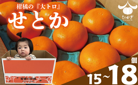 【愛媛県産】せとか 15個~18個入り ( サイズ：4L~3L ) ＜2月下旬～発送予定＞ 柑橘 みかん セトカ 果物 くだもの フルーツ おすすめ 高級 人気 お取り寄せ グルメ ギフト 期間限定 数量限定 ご当地 愛媛県 松山市【TKG011】 みかん せとか 優品せとか 愛媛県産せとか 松山市産せとか