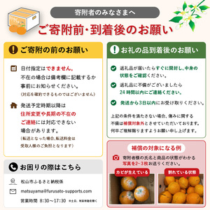 【2026年3月下旬から発送予定】 あいか 愛果48号 2kg 家庭用 期間限定 愛媛県産 みかん 蜜柑 オレンジ 柑橘 果物 フルーツ 家庭用 おすすめ 愛媛県 松山市 FT101【FT101_x】