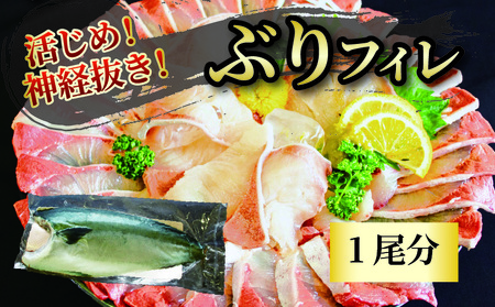 活じめ！神経抜き！ぶりフィレ1尾分 | 鮮魚 刺身 お刺身 お刺し身 魚介 海の幸 冷蔵 ブリ 鰤 ぶり 愛媛県 松山市【KHN0041】