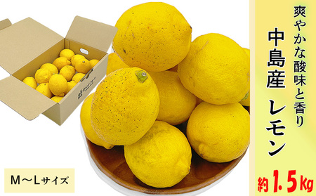 【11月上旬より発送】中島産 レモン M から L サイズ 約1.5kg | （先行予約 檸檬 レモン 国産 柑橘 レモンジャム レモンサワー ピール 中島 愛媛 松山 ） 【FA0921】 6,480円