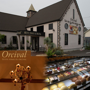 【カットケーキ 2種類 4個】2層ケーキ | ケーキケーキケーキケーキ【OR012】