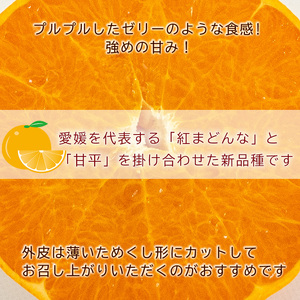 【2025年3月から発送予定】 愛果48号 小玉 2kg 愛媛県 中島産 |あいか 家庭用 先行予約 高級 蜜柑 ミカン みかん ジューシー 甘い 柑橘 人気 お取り寄せ 期間 数量 限定 愛媛 松山【NM016】