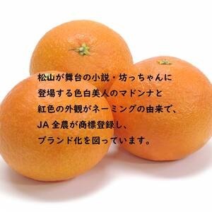 【先行受付】☆300セット限定☆JA特選品 紅まどんな（青秀L～3L 約3kg）【EN0091】