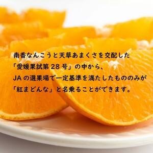 【先行受付】☆300セット限定☆JA特選品 紅まどんな（青秀L～3L 約3kg）【EN0091】