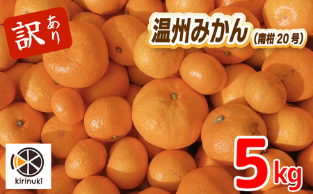 【12月中旬から発送予定】 温州みかん 5kg （ 訳あり ） | みかん 柑橘 訳あり みかん ミカン 柑橘 みかん 柑橘 5kg 愛媛県 松山市【KR009】