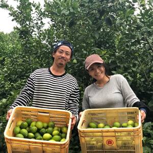 【レモン】もりのしずくれもん イエローレモン 3kg 【HMN004_B】