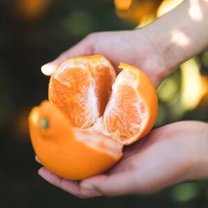 訳あり せとか 家庭用 5kg ｜産地直送 国産 柑橘 期間限定 数量限定 ご当地 愛媛県 松山市【OCF004】