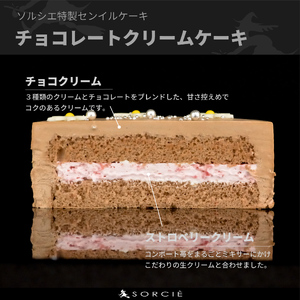 【着日指定可】クリスマスケーキ センイルケーキ  4号 直径13.5cm 2人～4人分 285g 【クリスマス飾り付】【チョコレートクリーム】 スイーツ ギフト | デザート ケーキ お菓子 洋菓子 冷凍 着日指定 お誕生日 誕生日 ギフト お祝い 愛媛県 松山市【IT028choco】