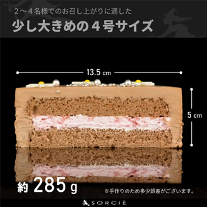 【着日指定可】クリスマスケーキ センイルケーキ  4号 直径13.5cm 2人～4人分 285g 【クリスマス飾り付】【チョコレートクリーム】 スイーツ ギフト | デザート ケーキ お菓子 洋菓子 冷凍 着日指定 お誕生日 誕生日 ギフト お祝い 愛媛県 松山市【IT028choco】