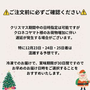 【着日指定可】クリスマスケーキ センイルケーキ  4号 直径13.5cm 2人～4人分 285g 【クリスマス飾り付】【チョコレートクリーム】 スイーツ ギフト | デザート ケーキ お菓子 洋菓子 冷凍 着日指定 お誕生日 誕生日 ギフト お祝い 愛媛県 松山市【IT028choco】