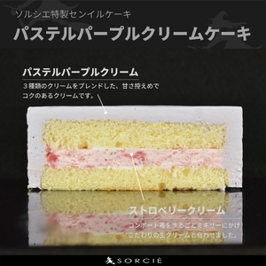 【着日指定可】クリスマスケーキ センイルケーキ  4号 直径13.5cm 2人～4人分 285g 【クリスマス飾り付】【パステルパープル】 スイーツ ギフト | デザート ケーキ お菓子 洋菓子 冷凍 着日指定 お誕生日 誕生日 ギフト お祝い 愛媛県 松山市【IT028purple】