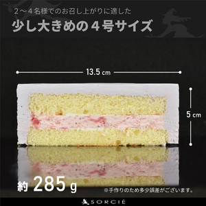 【着日指定可】クリスマスケーキ センイルケーキ  4号 直径13.5cm 2人～4人分 285g 【クリスマス飾り付】【パステルパープル】 スイーツ ギフト | デザート ケーキ お菓子 洋菓子 冷凍 着日指定 お誕生日 誕生日 ギフト お祝い 愛媛県 松山市【IT028purple】