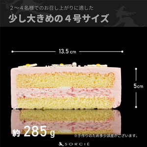 【着日指定可】クリスマスケーキ センイルケーキ  4号 直径13.5cm 2人～4人分 285g 【クリスマス飾り付】【パステルピンク】 スイーツ ギフト | デザート ケーキ お菓子 洋菓子 冷凍 着日指定 お誕生日 誕生日 ギフト お祝い 愛媛県 松山市【IT028pink】