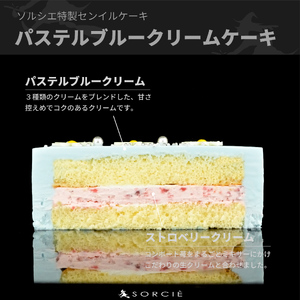 【着日指定可】クリスマスケーキ センイルケーキ  4号 直径13.5cm 2人～4人分 285g 【クリスマス飾り付】【パステルブルー】 スイーツ ギフト | デザート ケーキ お菓子 洋菓子 冷凍 着日指定 お誕生日 誕生日 ギフト お祝い 愛媛県 松山市【IT028blue】