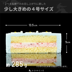 【着日指定可】クリスマスケーキ センイルケーキ  4号 直径13.5cm 2人～4人分 285g 【クリスマス飾り付】【パステルブルー】 スイーツ ギフト | デザート ケーキ お菓子 洋菓子 冷凍 着日指定 お誕生日 誕生日 ギフト お祝い 愛媛県 松山市【IT028blue】