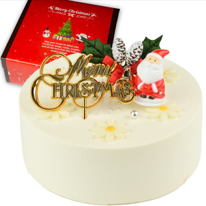 【着日指定可】クリスマスケーキ センイルケーキ  4号 直径13.5cm 2人～4人分 285g 【クリスマス飾り付】【ホワイトカラー】 スイーツ ギフト | デザート ケーキ お菓子 洋菓子 冷凍 着日指定 お誕生日 誕生日 ギフト お祝い 愛媛県 松山市【IT028white】